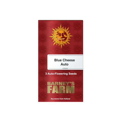 Blue Cheese - auto - 3 Stk. - Barney's Farm
