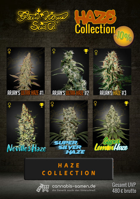 Bundle Pack - HAZE Legends - Green House Seeds