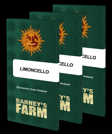 Limoncello - fem. - 3 Stk. - Barney's Farm