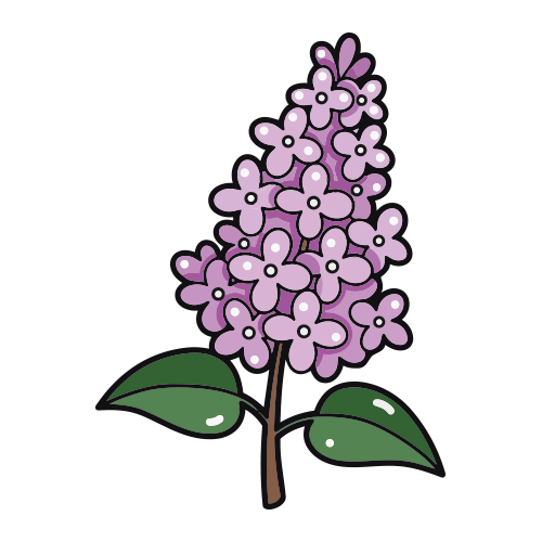 Terpineol