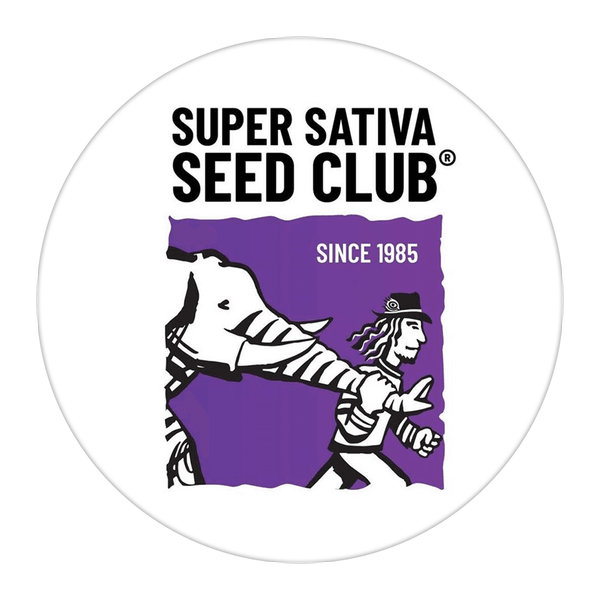 Super Sativa Seed Club