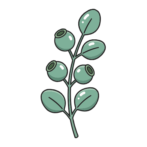 Eukalyptol