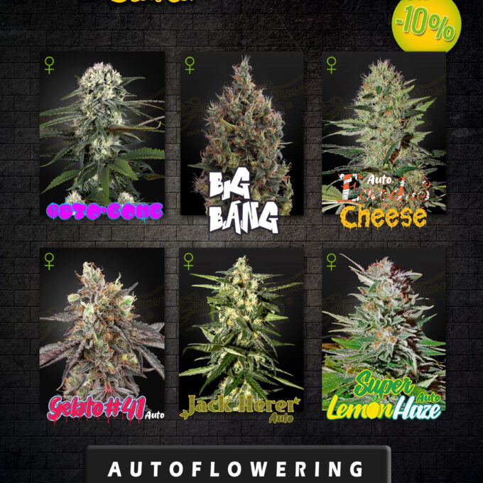 Green House Seeds Autoflowering Bestseller Pack.jpg