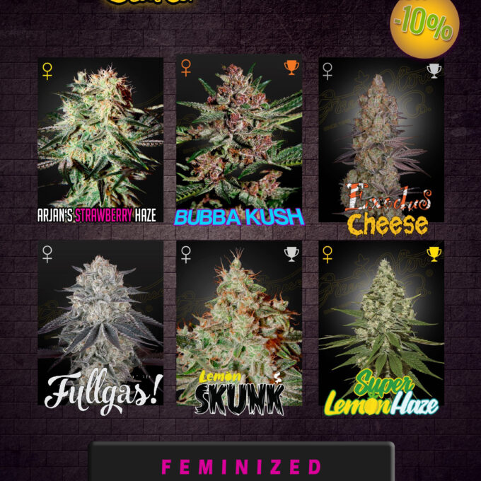 Green House Seeds Feminized Seeds Bundle.jpg