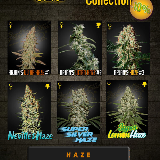 Green House Seeds HAZE Collection.jpg